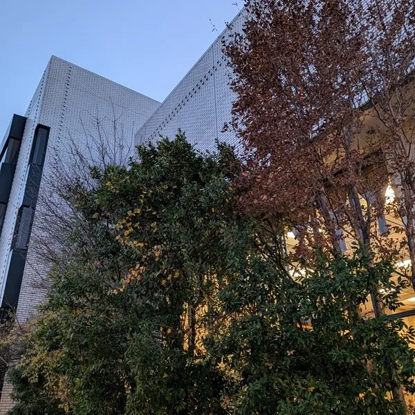 【行政書士法改正について】