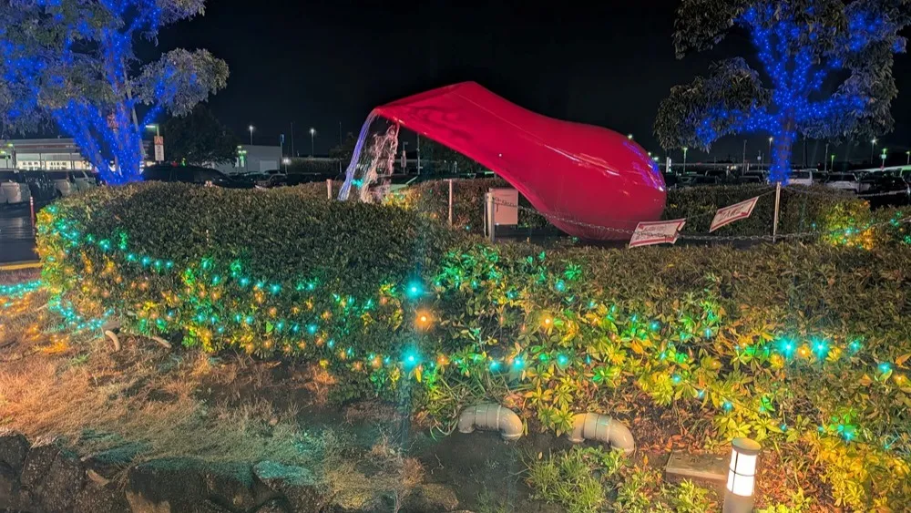 今年はもう仕事納めをしましたが、行政書士になってからの感想と...